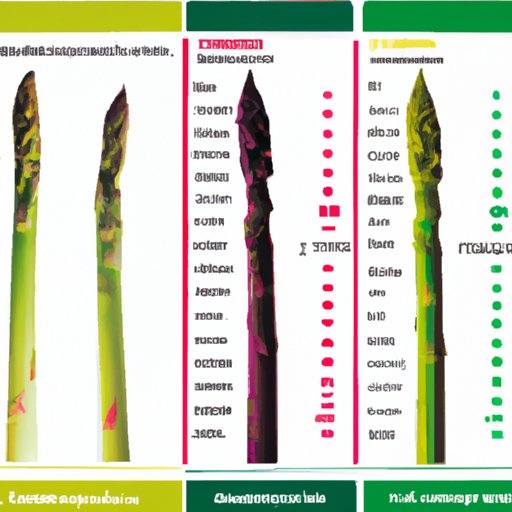 Overview of Nutritional Profile of Asparagus