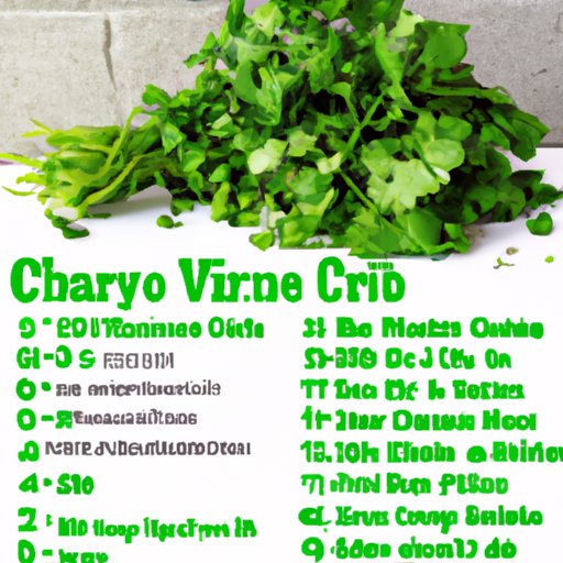 Comprehensive Guide to the Nutritional Value of Cilantro