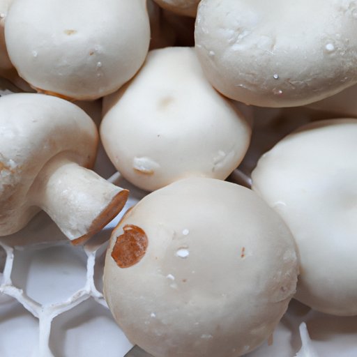 Brain Health Benefits of Mushrooms