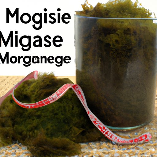 Exploring the Health Benefits of Sea Moss A Comprehensive Guide The