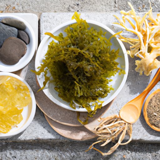 The Role of Sea Moss in Boosting Immunity