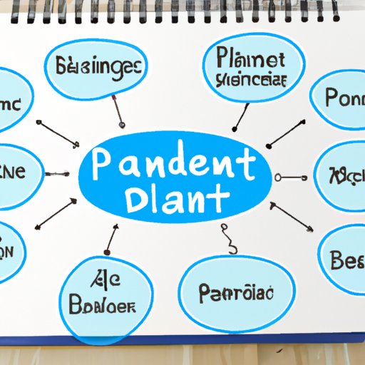 Develop a Business Plan and Budget