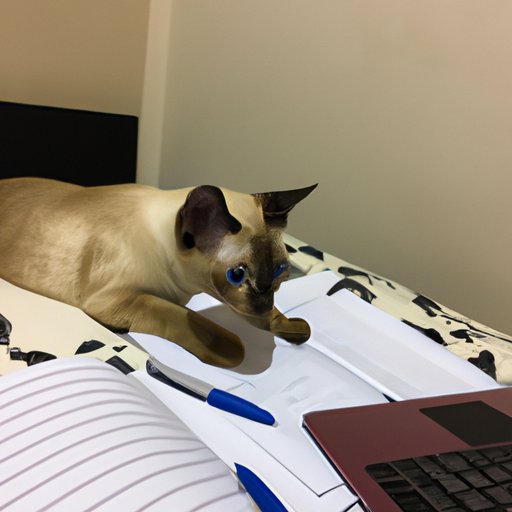 Explorando mis planes para mañana