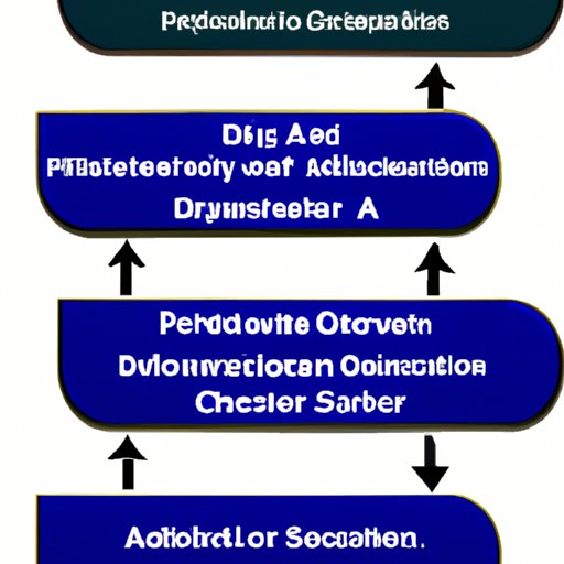 The Different Career Paths Available with an Associate Degree in Computer Science