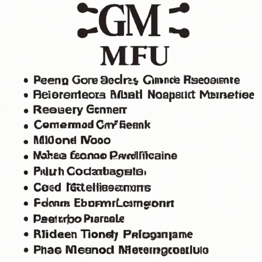 Overview of GM Financial and its Banking Partners