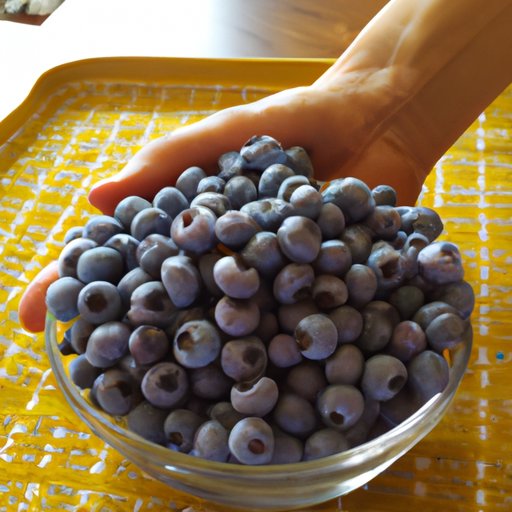 Exploring the Nutritional Benefits of Blueberries