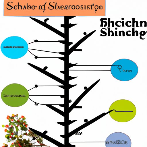 A Comprehensive Guide to Different Branches of Science