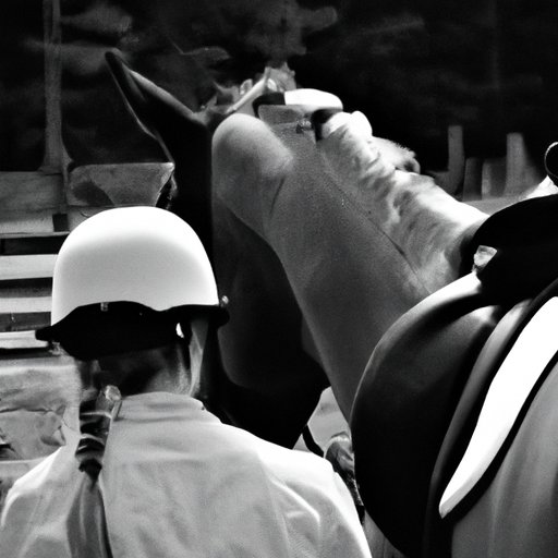 Exploring the Business Side of Equine Management