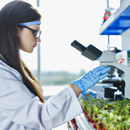Pursue a Career in Biotechnology