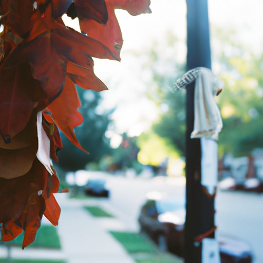 Exploring the Themes of Fall in Film