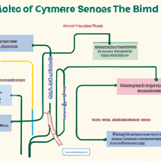 Understanding the Career Paths for Biomedical Science Graduates from College