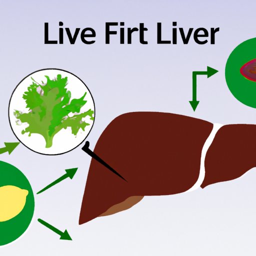 Understanding the Link Between Diet and Fatty Liver Disease