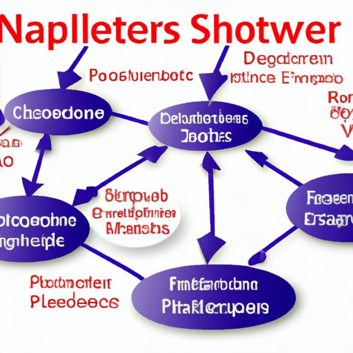 Develop a Network of Suppliers and Vendors