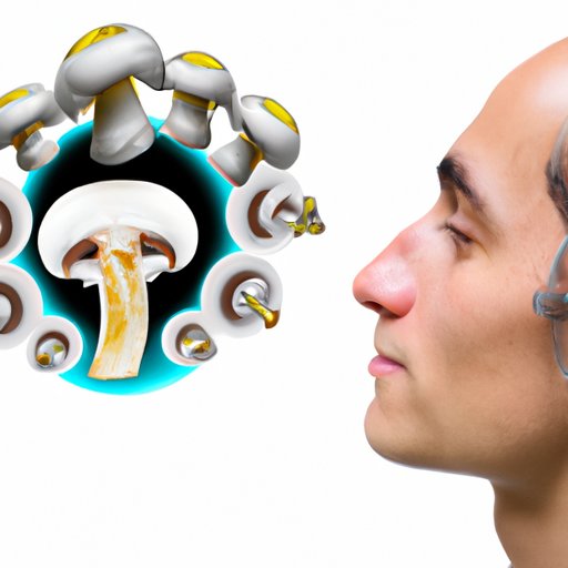 Exploring the Chemical Effects of Mushrooms on the Brain