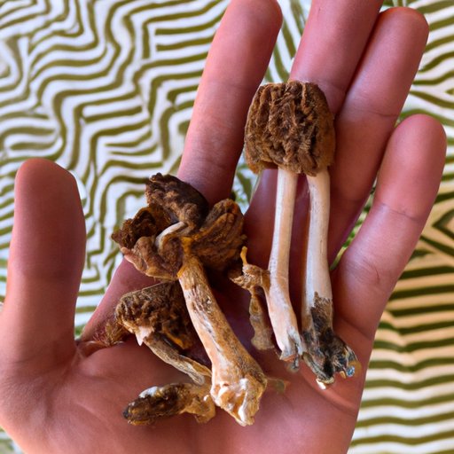 Exploring the Ways in which Different Cultures Use Mushrooms for Healing Purposes
