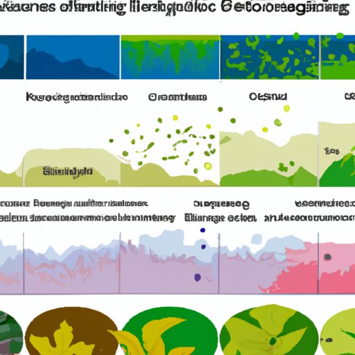 How Biodiversity Impacts Global Climate Change