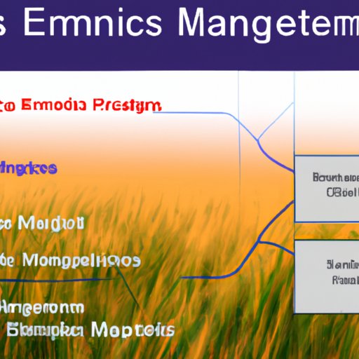 An Overview of EMS and Its Role in Scientific Research 