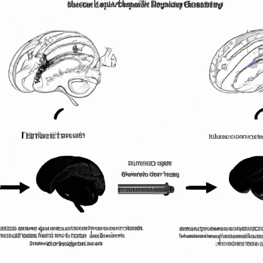 Understanding the Impact of Exercise on Brain Structure and Function