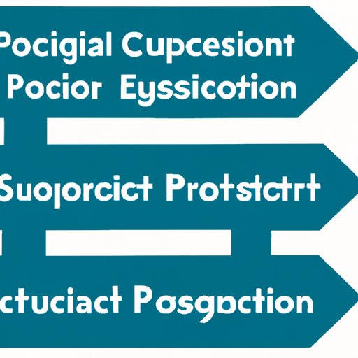 Investigating Career Paths for Exercise Science Professionals