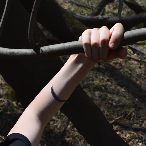 Exploring the Branches of Physical Science