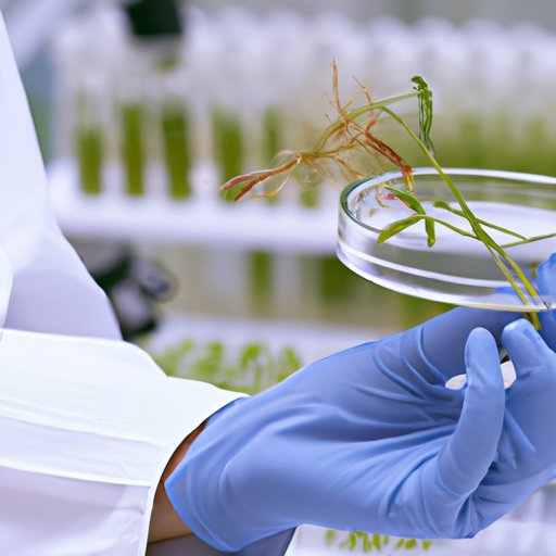 Investigating the Use of Property in Biological Sciences