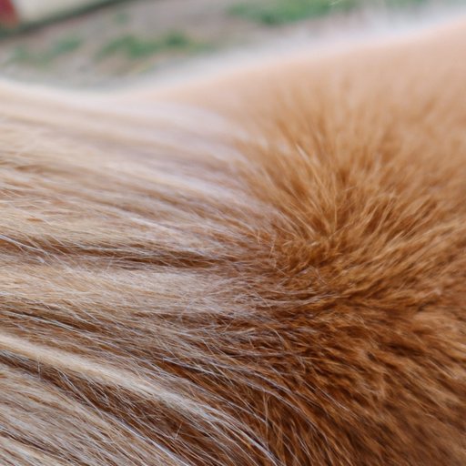 Pros and Cons of Different Follicle Sizes in AI Mare Breeding