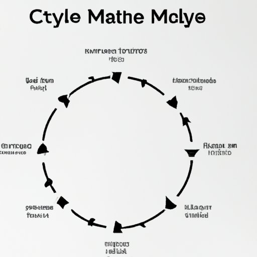 A Guide to Understanding Crypto Market Cycles