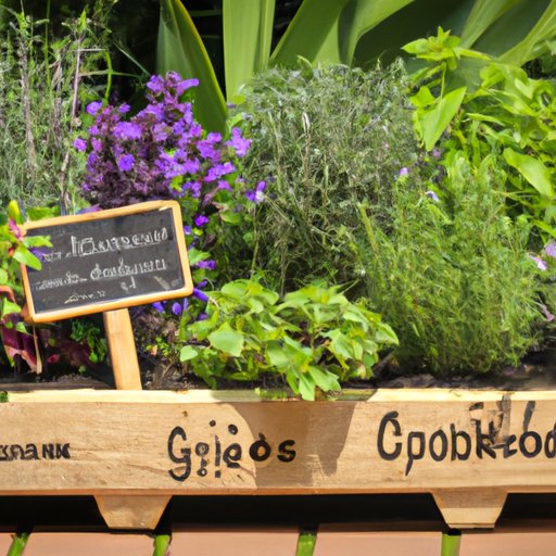 Companion Planting with Herbs: Discover the Perfect Combinations for Your Garden