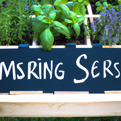 The Benefits of Growing Herbs Together: Learn How to Make the Most of Your Garden