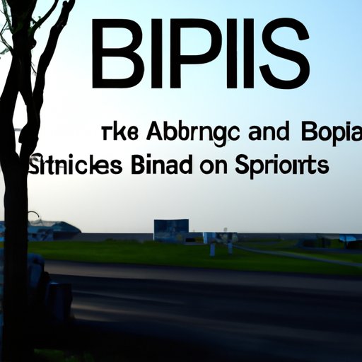 Understanding the Basics of BIPs in Finance