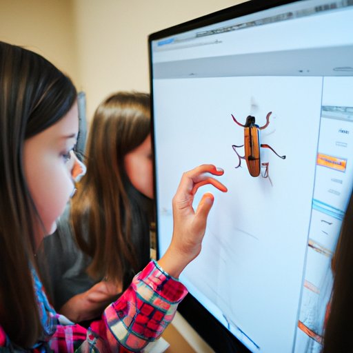 Exploring Examples of Bugs in Computer Science