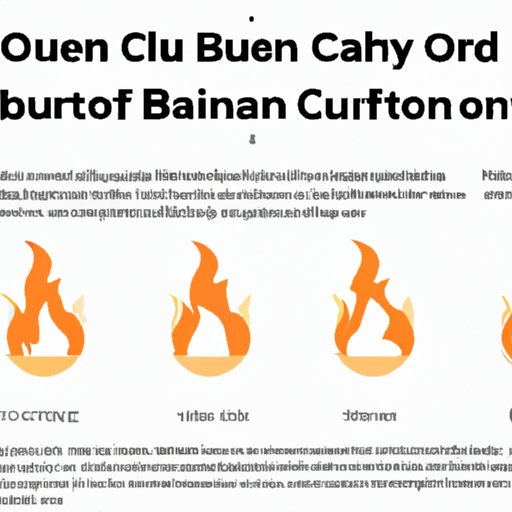 A Guide to Understanding Crypto Burn