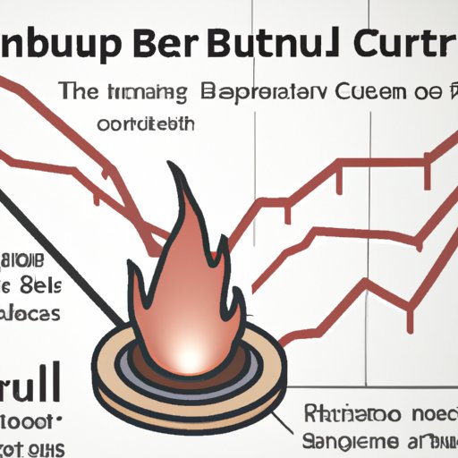 The Economics of Crypto Burn