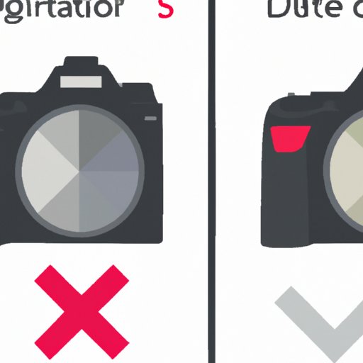 Pros and Cons of Digital Photography Cameras