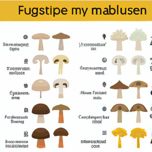 A Comparison of Different Types of Mushrooms and Their Effects