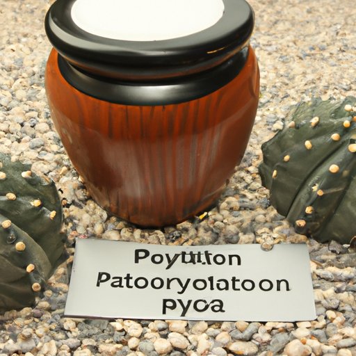 Legal Implications of Using Peyote