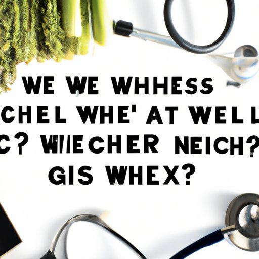 Common Questions About Wellness Checkups Answered