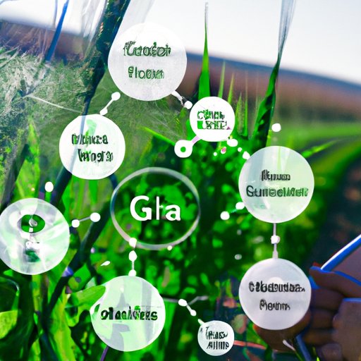 The Role of Agri Science in Modern Agriculture