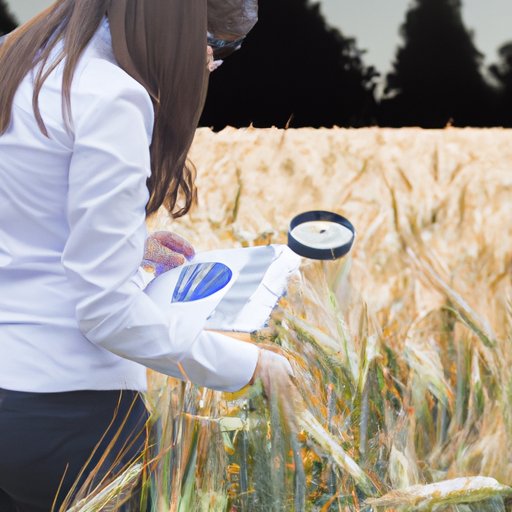 Examining the Impact of Agri Science on Food Production
