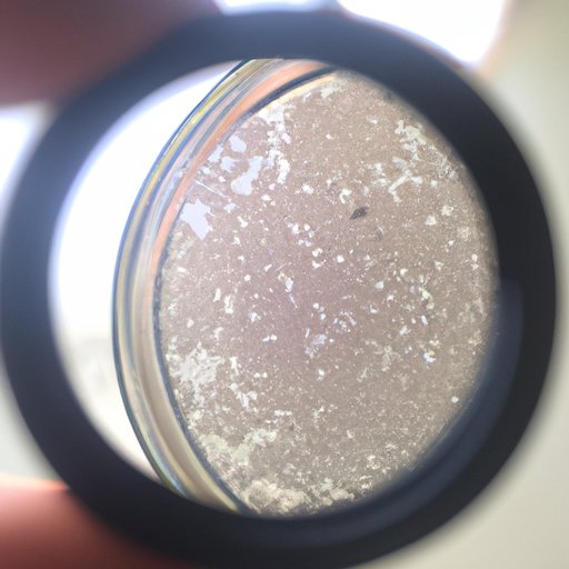 How to Identify Bacterial Cultures Using Microscopy Techniques