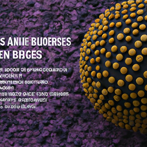 A Closer Look at the Benefits of CBRS Technology