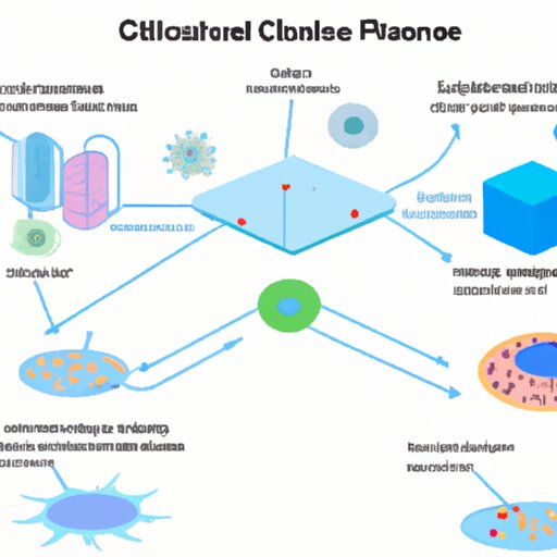 An Overview of Cellular Science: Understanding the Basics