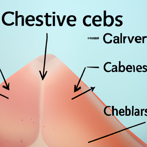 How to Identify Different Types of Cleavage in Rocks