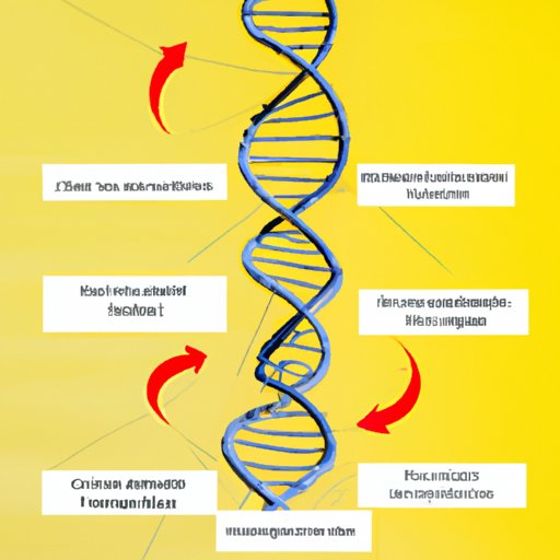 The Benefits and Applications of CRISPR Technology