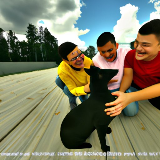 Exploring the Benefits of Cudl Financing