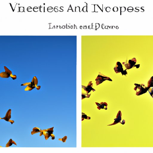 The Pros and Cons of Investing in Investment Income