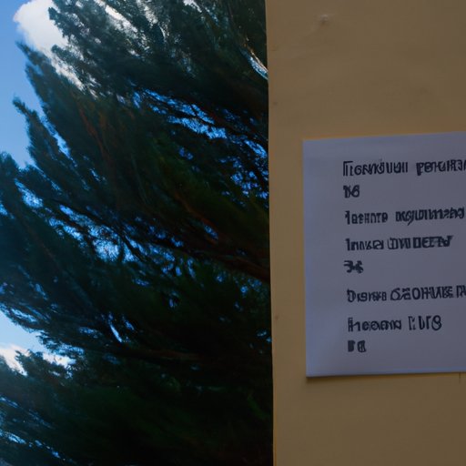 Comparing Juniper Financial to Other Financial Services Companies