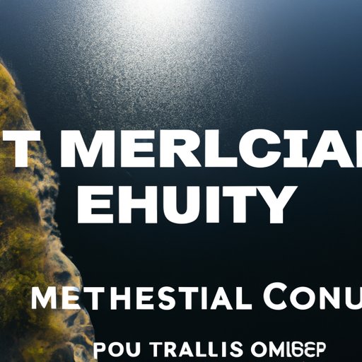 A Guide to Understanding MCT Wellness