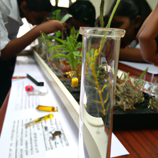 Exploring the Nature of Science Through Its Interdisciplinary Nature