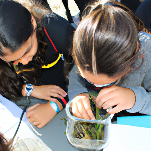 Investigating How Organisms Interact with Their Environment